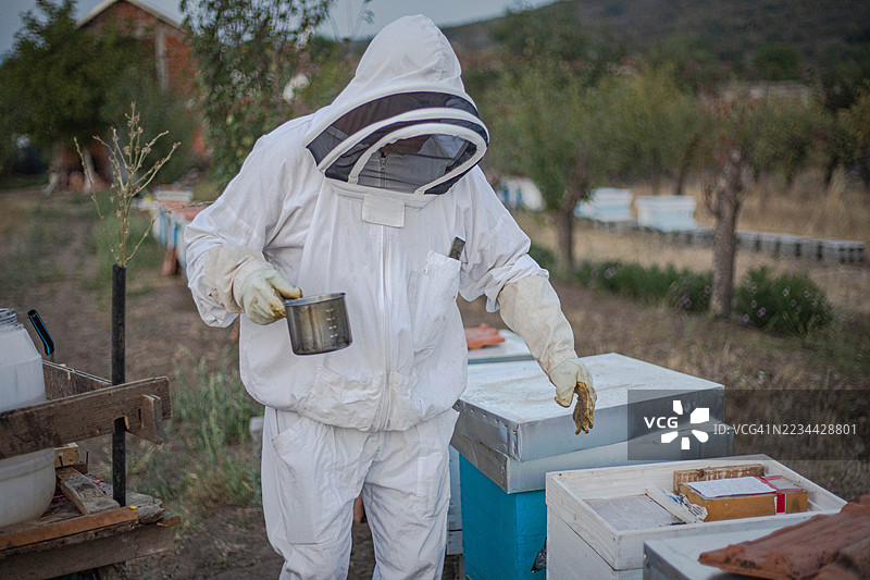 一位穿着白色防护工作服的养蜂人正在喂蜜蜂图片素材