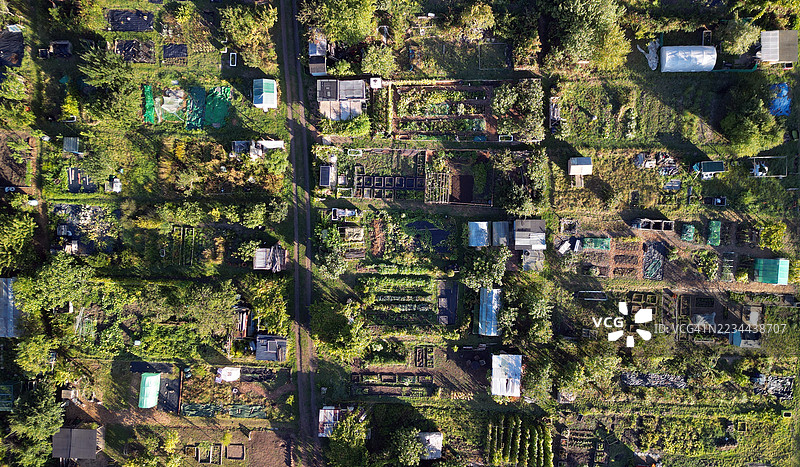 社区菜园图片素材