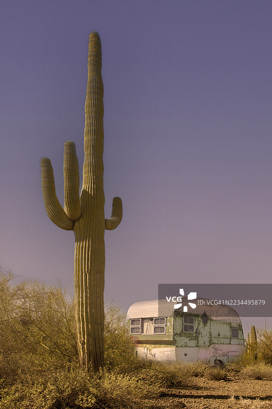 巨大的仙人掌和旧拖车组成的沙漠景观图片素材