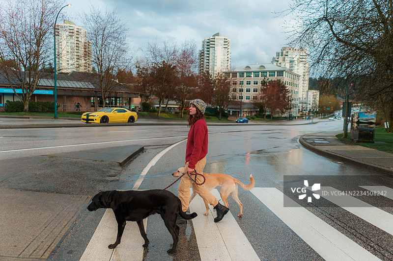 雨后在人行道上与狗散步的女人图片素材
