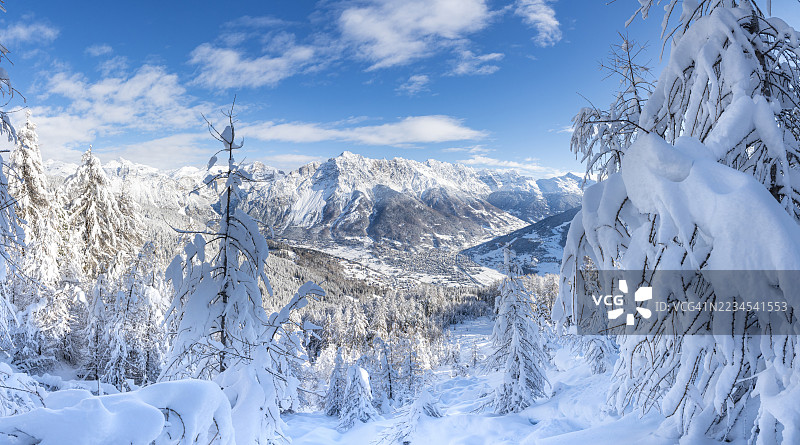 暴风雪过后被雪覆盖的冬季森林图片素材
