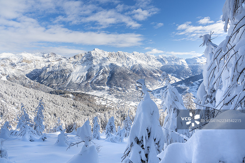 暴风雪过后被雪覆盖的冬季森林图片素材