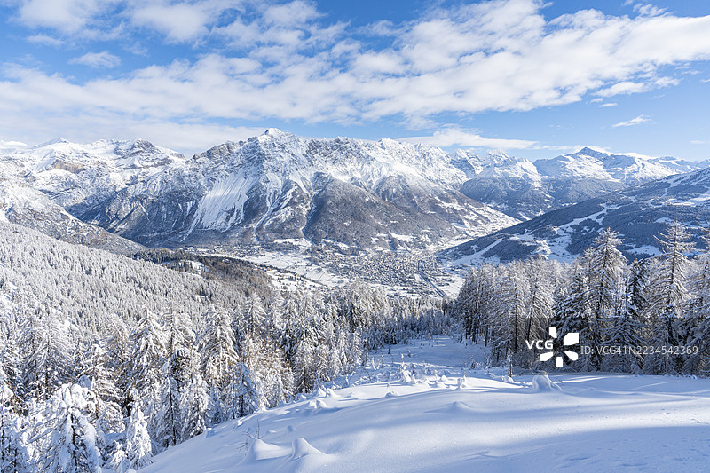 博尔米奥附近雪后坦诚的阿尔卑斯森林图片素材
