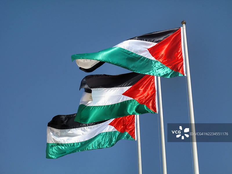 三面巴勒斯坦国旗在蓝天背景下飘扬图片素材