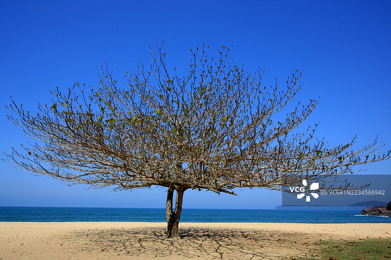 北方红色沙滩图片素材