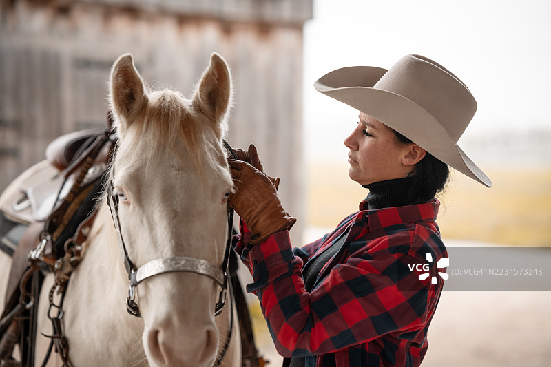 一位女牛仔驾驭着她的西部四分之一马图片素材