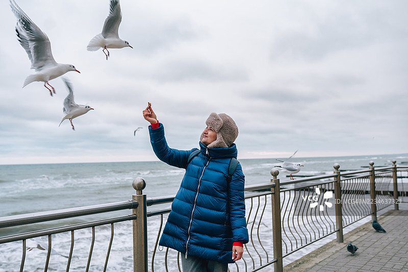 女人在海滨的风天里享受喂鸟的乐趣图片素材