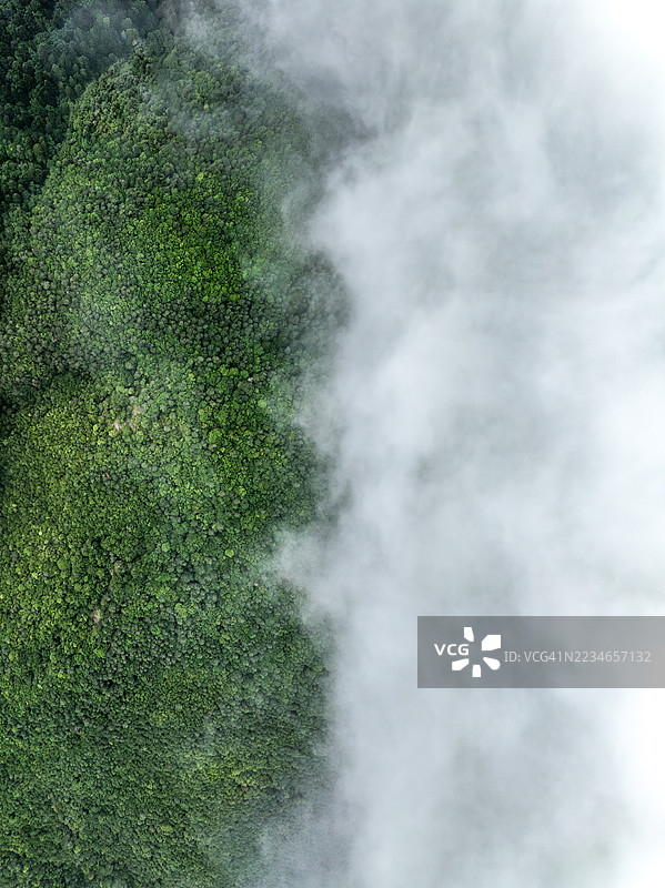 俯瞰法国阿尔卑斯-海岸地区森林边缘的云层的航拍照片图片素材