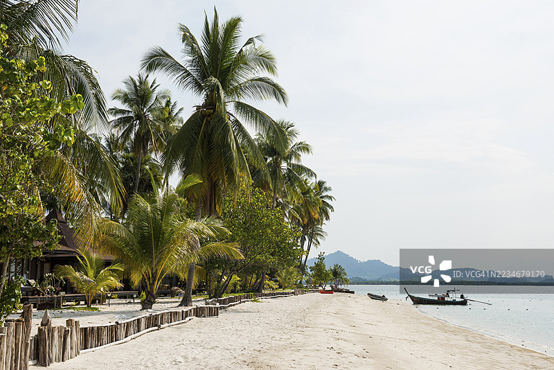 白色沙滩和椰子树，珍珠海滩，考穆克岛，唐省，泰国南部，安达曼海，泰国图片素材