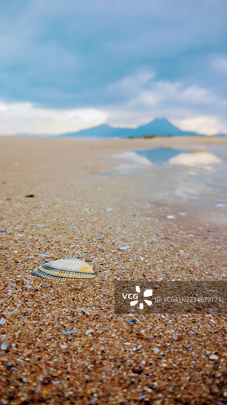 沙滩上的海螺与山的倒影，突尼斯图片素材