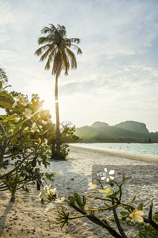 白色沙滩和椰子树，日落，珍珠海滩，考穆克，唐省，泰国南部，安达曼海，泰国图片素材