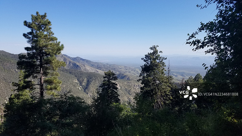 壮丽的山林景观在晴朗的蓝天下图片素材