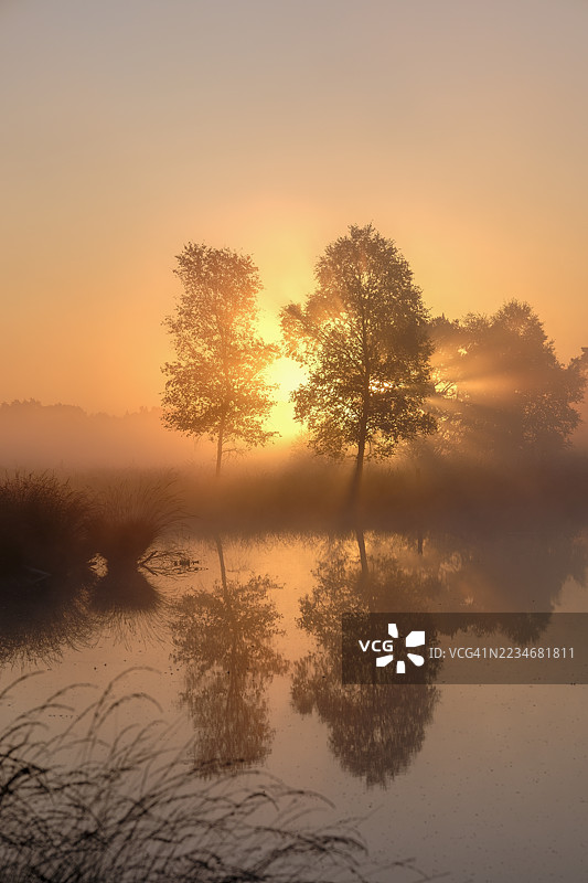 宁静的湖泊场景，树木在雾蒙蒙的日出中剪影，德国施奈费尔丁。图片素材
