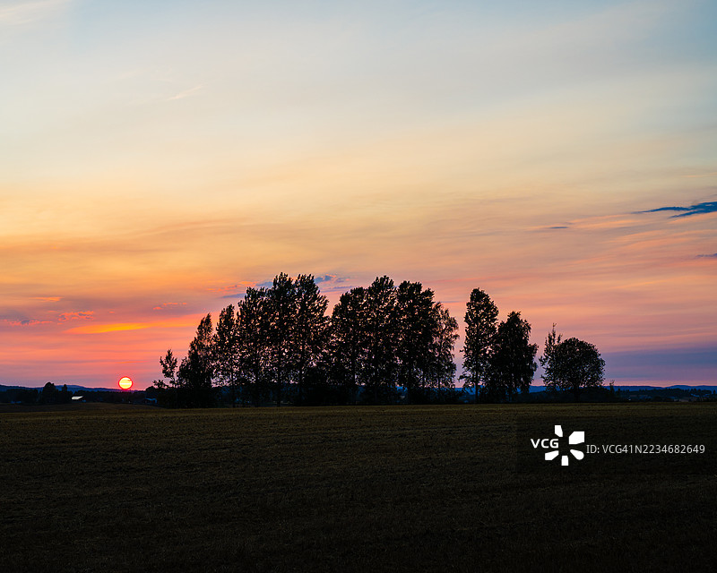 挪威日落时分田野中的树木剪影图片素材