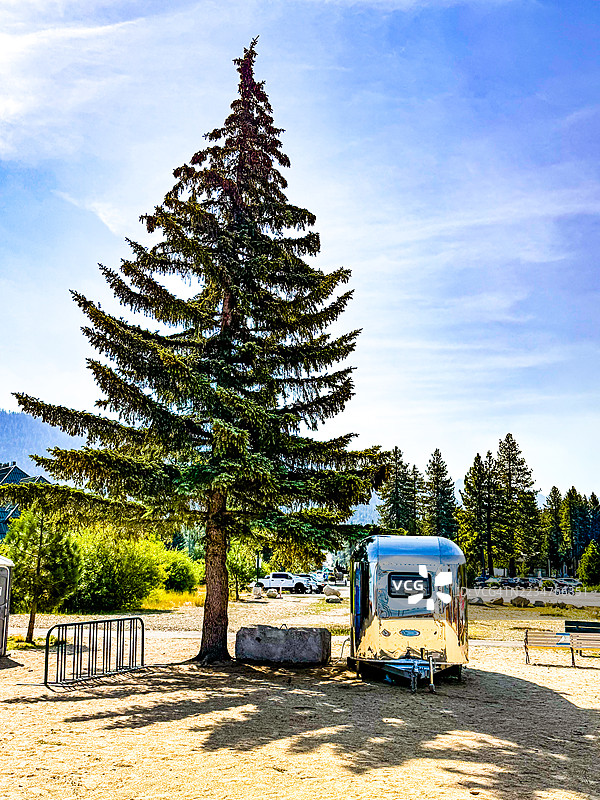 银色反光拖车在太浩湖的海滩上提供季节性刨冰，旁边是一棵孤独的松树。图片素材