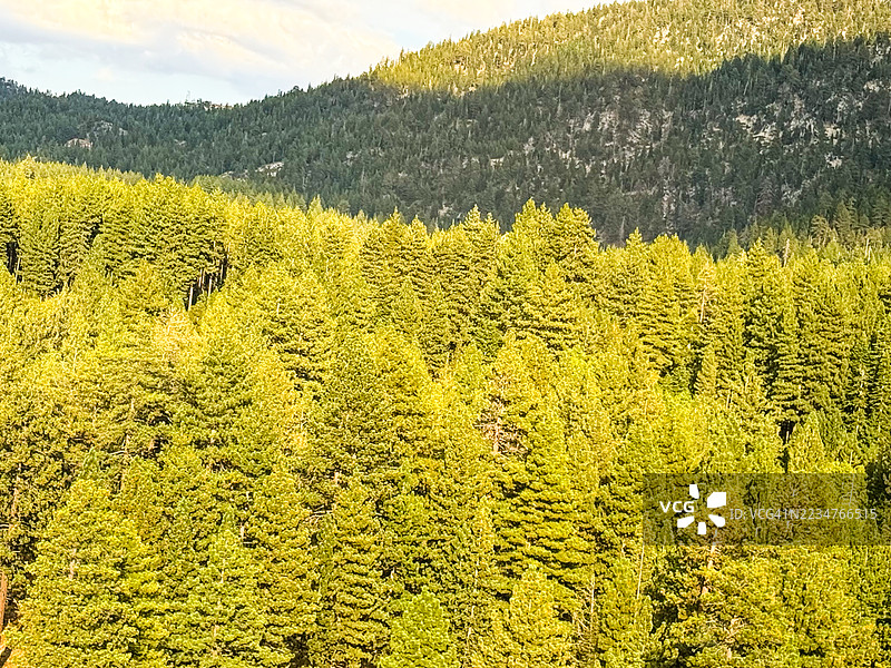 从内华达州州界高处俯瞰南太浩湖附近的树木和山丘图片素材