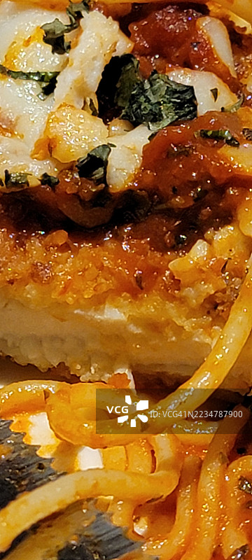 帕尔马干酪鸡肉奶酪条意大利印度食品面条图片素材