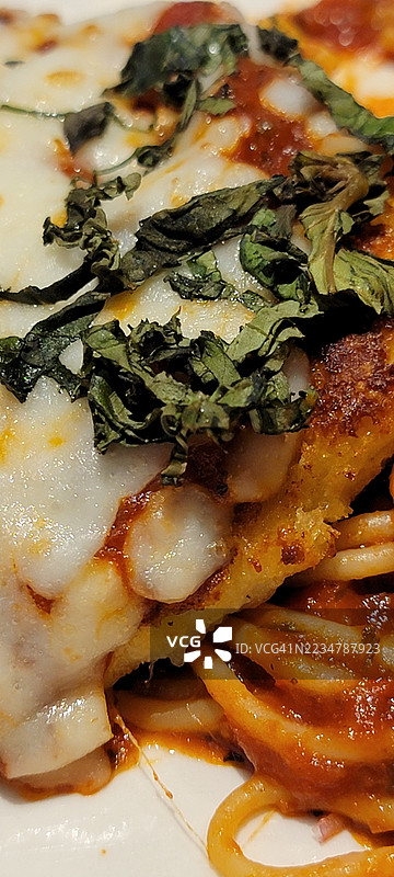 柠檬大蒜帕尔马干酪鸡肉条意大利印度风味面条图片素材