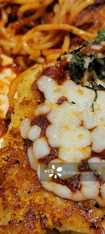 帕尔马干酪鸡肉奶酪条意大利印度食品面条图片素材