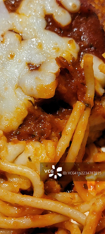 帕尔马干酪鸡肉奶酪条意大利印度食品面条图片素材