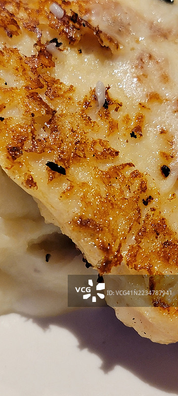 帕尔马干酪鸡肉奶酪条意大利印度食品面条图片素材