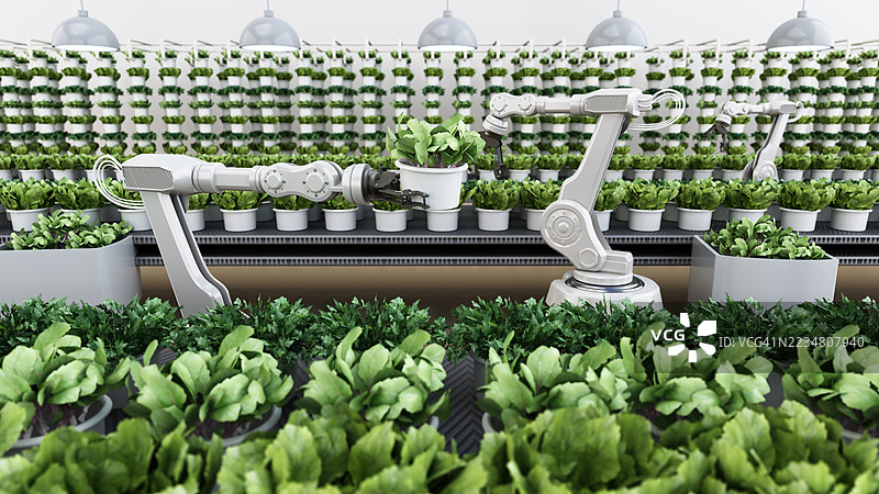 机器人手臂在现代温室环境中照料室内植物。人工智能与人类合作的概念图片素材