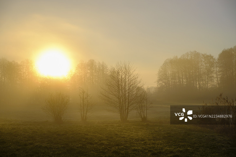 早晨的氛围,德国巴伐利亚州上普法尔茨地区蒂尔申罗伊特的Fischhof雾景图片素材