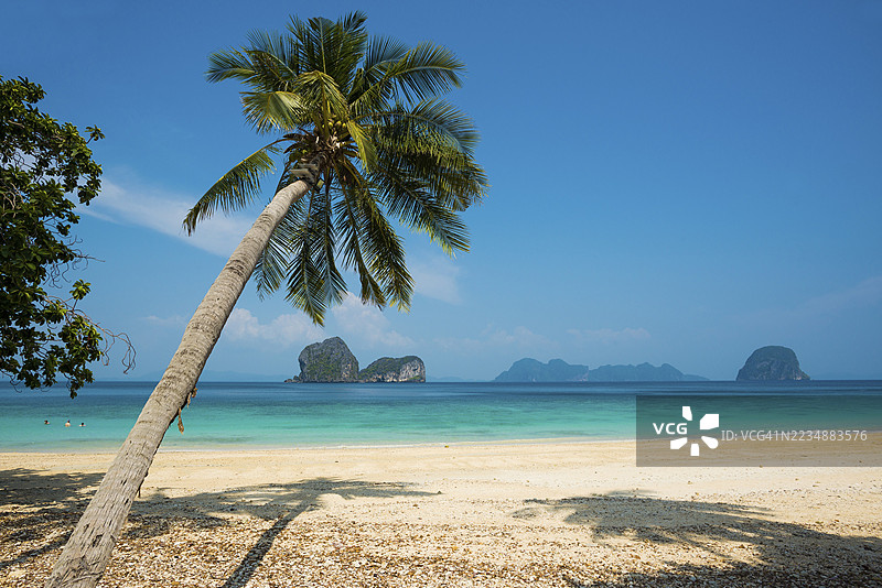 白色沙滩和椰子树,日出海滩,考格岛,白鲨,考艾岛,甲米省,Trang,泰国南部,安达曼海,泰国图片素材