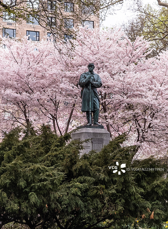 纽约的第七团与樱花图片素材