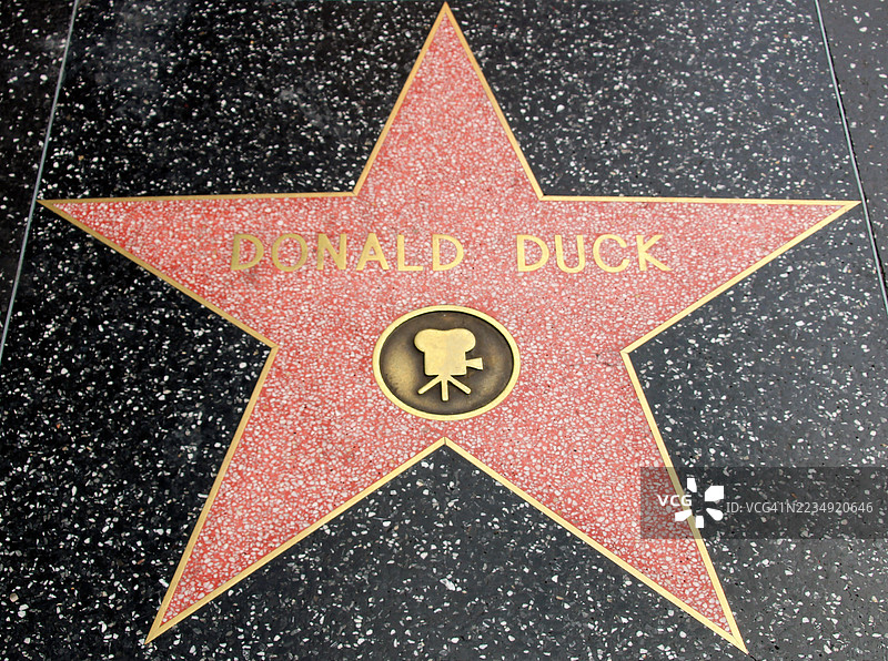唐老鸭在好莱坞星光大道上的明星（位于洛杉矶好莱坞大道）图片素材