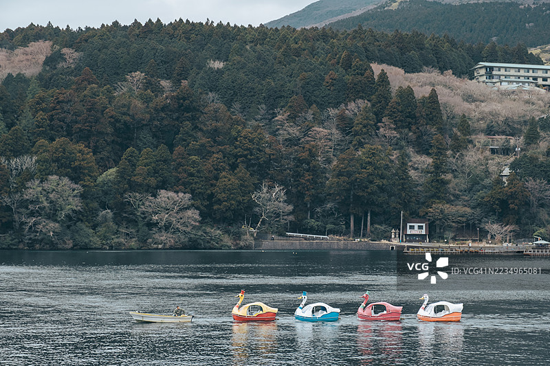 日本河口湖上的一排脚踏船图片素材