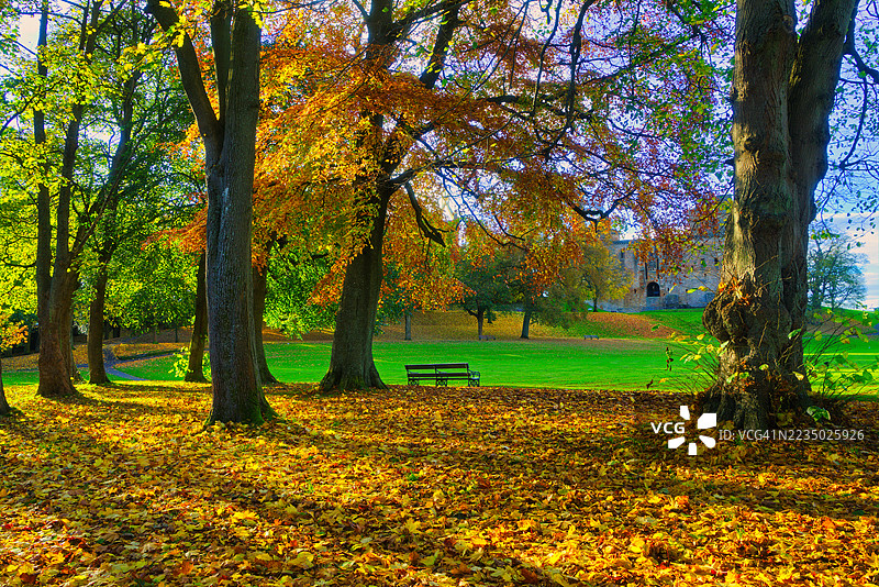 林利斯戈湖的秋季光线和树叶颜色。苏格兰中部，西洛锡安。图片素材