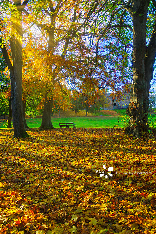 林利斯戈湖的秋季光线和树叶颜色。苏格兰中部，西洛锡安。图片素材