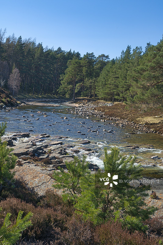 迪河向东流经迪林，靠近布雷马尔。棕色春季石楠花色彩。马尔庄园。皇家迪赛德，阿伯丁郡，高地地区，苏格兰，英国。图片素材
