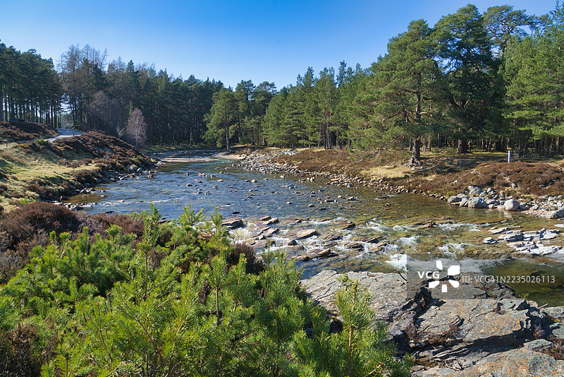 迪河在布雷马尔附近的迪林流向东，春季的石楠花色彩。马尔庄园。皇家迪赛德，阿伯丁郡，高地地区，苏格兰，英国。图片素材