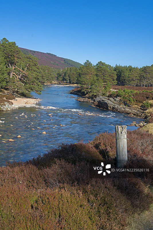 迪河在布雷马附近的迪林流向东，春季的石南花色彩。马尔庄园。皇家迪赛德，阿伯丁郡，高地地区，苏格兰，英国。图片素材