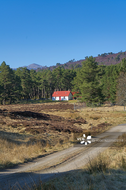 从迪河和迪河林的北面望去。路边有一座红顶小屋或小屋,坐落在苏格兰松树种植园中。马尔庄园。皇家迪赛德,阿伯丁郡,高地地区,苏格兰,英国。图片素材