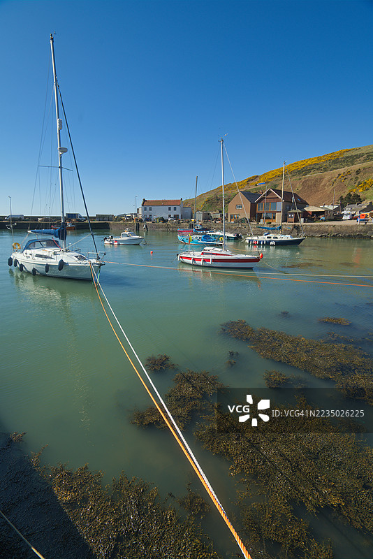 位于阿伯丁以南27英里的古尔登村风景如画的古老港口。古尔登，阿伯丁郡，高地地区，苏格兰，英国图片素材