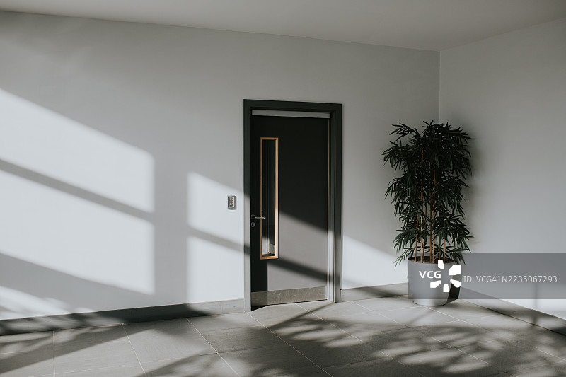 阳光透过窗户投射阴影的单调乏味的室内办公室背景图，现代环境中有一盆装饰植物。图片素材