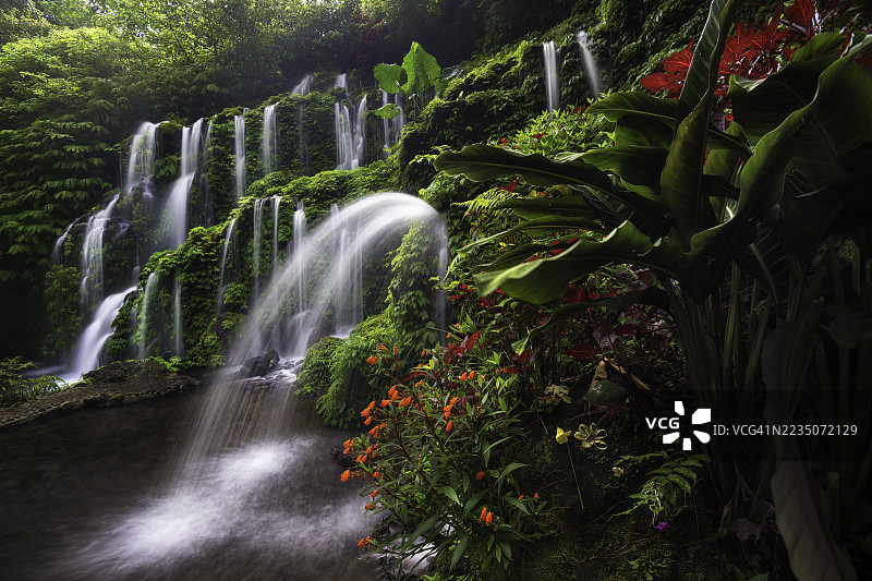 郁郁葱葱的森林，拥有多条 cascading 瀑布和生机勃勃的热带植物，苏卡萨达，印度尼西亚，班尤瓦纳阿梅尔塔瀑布图片素材