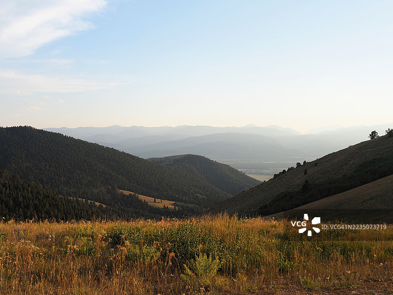 雄伟的山脉景观，森林覆盖的山坡和金色的田野在宁静的天空下，杰克逊，美国，USA，大提顿国家公园图片素材