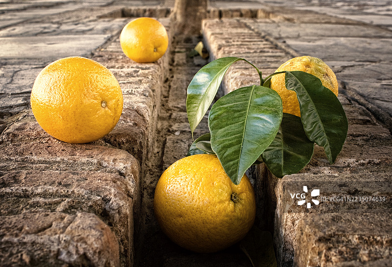 西班牙塞维利亚的班德拉斯广场地上的橙子 – 2012年7月11日图片素材