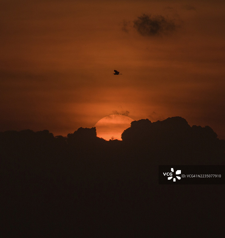 一只孤独的鸟在鲜艳的橙色天空中飞翔，夕阳在黑暗的剪影云层后落下。图片素材