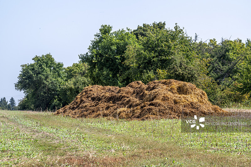 农村田野中一大堆 manure，背景是树木和晴朗的天空图片素材