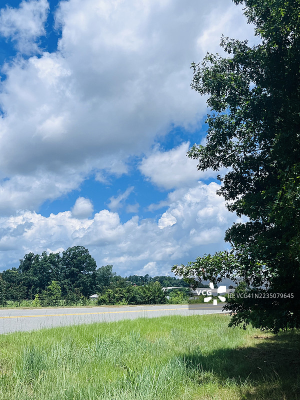 生机勃勃的绿色草地和树木沿着乡村道路排列，明亮的蓝天上飘着蓬松的白云，诺克斯维尔，美国图片素材