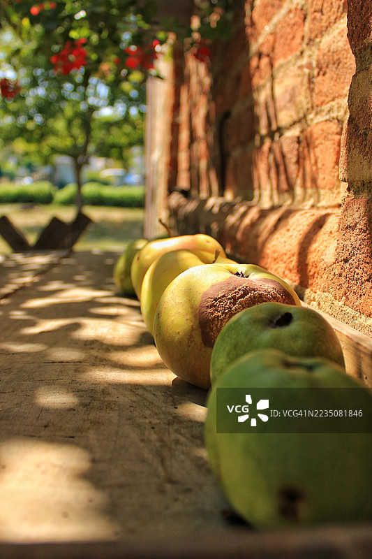 新鲜的梨子整齐地摆放在户外的木桌上，背景是砖墙和绿色树木。图片素材