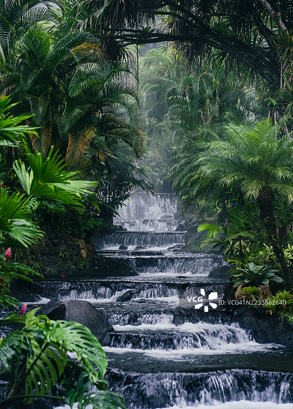 郁郁葱葱的热带森林，瀑布连绵，生机勃勃的绿色植被，圣卡洛斯，哥斯达黎加图片素材
