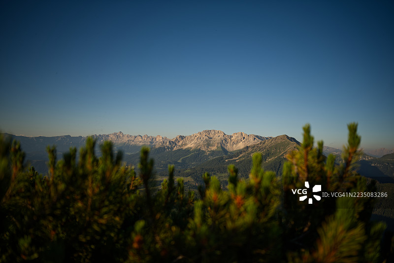 在清澈蓝天下的雄伟山脉，前景是常青树，意大利菲耶梅谷。图片素材