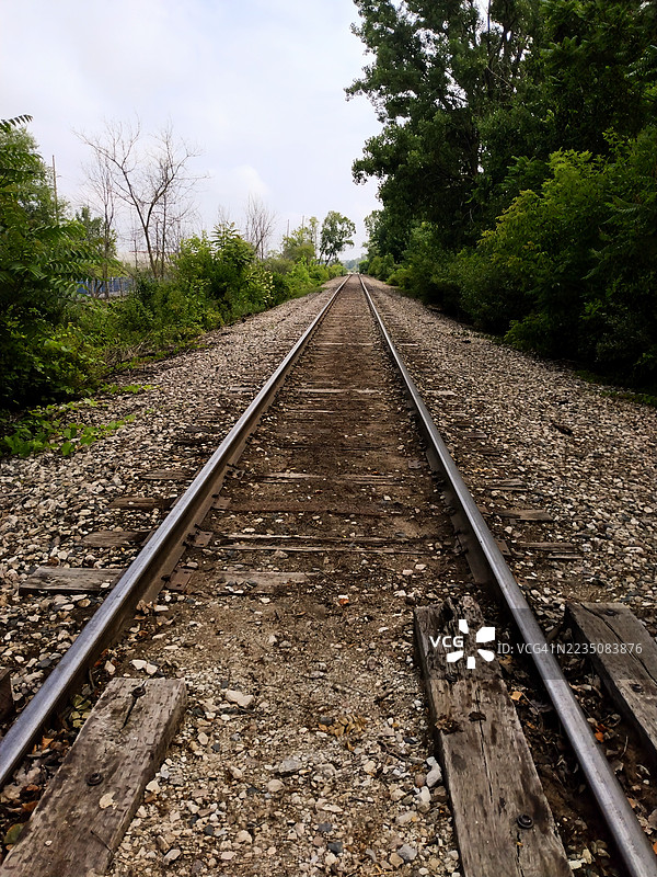 空荡荡的铁路轨道延伸向远方，周围被郁郁葱葱的绿叶环绕，天空阴云密布。图片素材