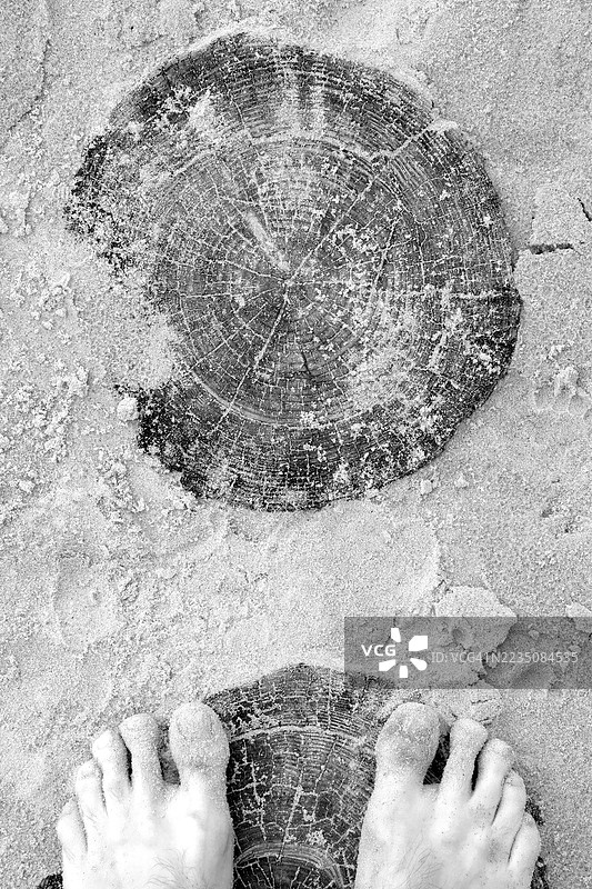 一个人脚的下半部分站在沙滩上，旁边是一个树桩切片。图片素材